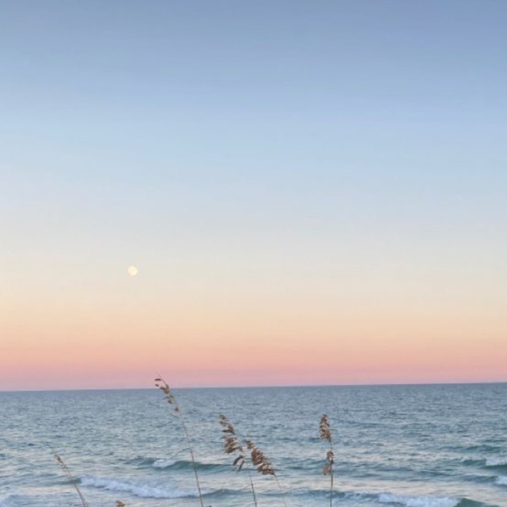 Meet your Posher, Avary